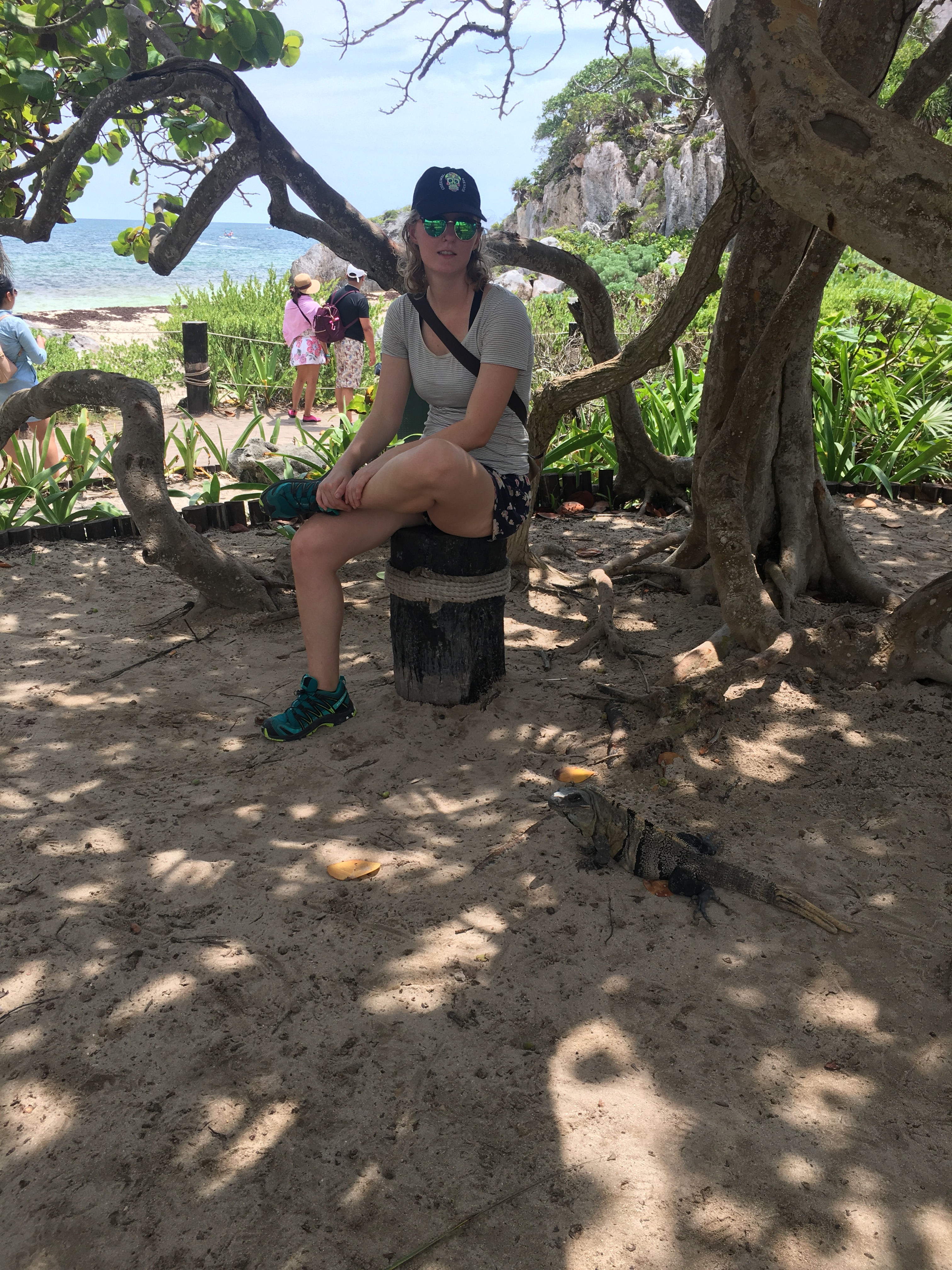 Woman sitting on a log of wood, looking at an iguana.